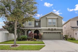 19214 Early Violet Dr Ne, TAMPA