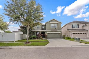 19214 EARLY VIOLET DRIVE, TAMPA, FL 33647 - MLS#MFRTB8365770