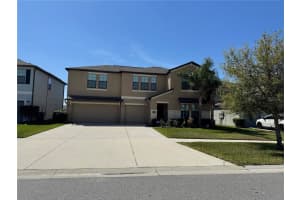 14050 Arbor Pines Dr, RIVERVIEW
