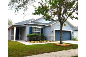 11267 RUNNING PINE DRIVE, RIVERVIEW, FL 33569 Sold 05/08/25