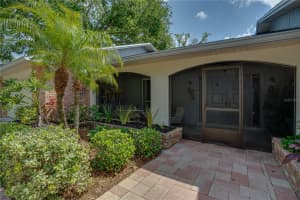 1810 PINE HILL DRIVE, SAFETY HARBOR, FL 34695 - MLS#MFRTB8365815