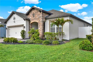 11606 NAVEL ORANGE WAY, TAMPA, FL 33626 Sold 05/06/25