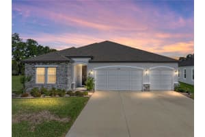 11465 JUNE BRIAR LOOP, SAN ANTONIO, FL 33576 Sold 07/18/25