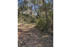 5543 NOBIS CIRCLE, HOMOSASSA, FL 34448 Sold 06/26/25