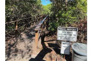2910 LICHEN LANE, CLEARWATER, FL 33760 - MLS#MFRTB8365951