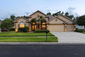 26920 WINGED ELM DRIVE, WESLEY CHAPEL, FL 33544 Sold 06/06/25
