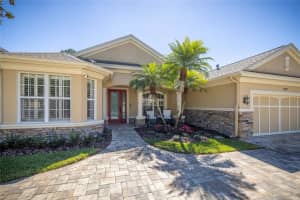 14809 Tudor Chase Dr, TAMPA
