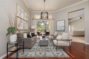 14809 TUDOR CHASE DRIVE, TAMPA, FL 33626 - MLS#MFRTB8366004