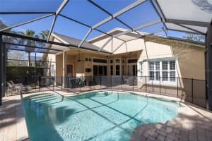 14809 TUDOR CHASE DRIVE, TAMPA, FL 33626 - MLS#MFRTB8366004