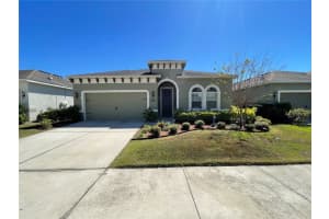 11193 Spring Point Cir, RIVERVIEW