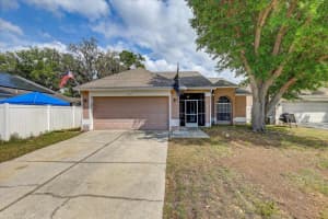 4704 Stove Pl, VALRICO