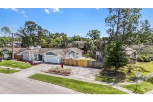 15404 DEERGLEN DRIVE, TAMPA, FL 33624 Sold 05/22/25