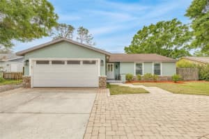 5317 Black Pine Dr, TAMPA