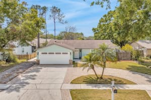 5317 BLACK PINE DRIVE, TAMPA, FL 33624 - MLS#MFRTB8366180
