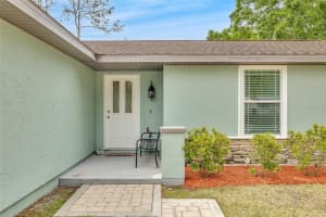 5317 BLACK PINE DRIVE, TAMPA, FL 33624 - MLS#MFRTB8366180