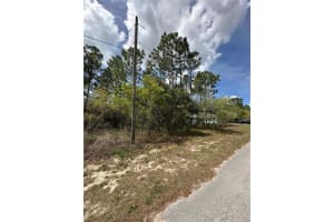 2 FRINGETREE COURT, HOMOSASSA, FL 34446 - MLS#MFRTB8366188