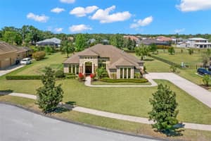 10921 BRICE TREE COURT, LITHIA, FL 33547 Sold 05/23/25