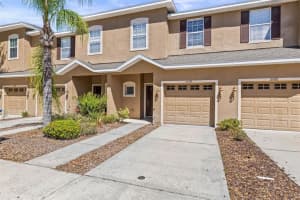 10418 Tulip Field Way, RIVERVIEW