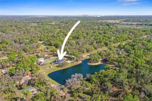8403 SOUTHWOOD PINES STREET, LITHIA, FL 33547 Sold 09/08/25
