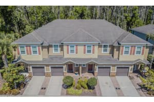 906 Vineyard Ln, OLDSMAR