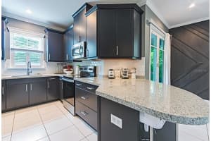 906 VINEYARD LANE, OLDSMAR, FL 34677 - MLS#MFRTB8366234