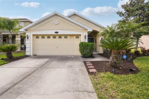 20224 NATURES SPIRIT DRIVE, TAMPA, FL 33647 Sold 06/20/25