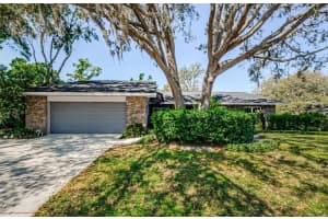 11510 Moffat Pl, TEMPLE TERRACE