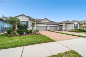 16822 BALANCE COVE, LAND O LAKES, FL 34638 - MLS#MFRTB8366354