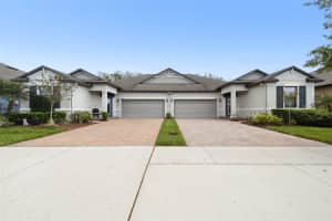 16822 BALANCE COVE, LAND O LAKES, FL 34638 - MLS#MFRTB8366354
