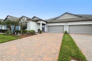 16822 BALANCE COVE, LAND O LAKES, FL 34638 - MLS#MFRTB8366354