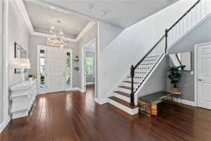 10007 HAZELNUT COURT, TAMPA, FL 33647 - MLS#MFRTB8366358