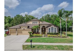 16200 IVY LAKE DRIVE, ODESSA, FL 33556 Sold 04/28/25
