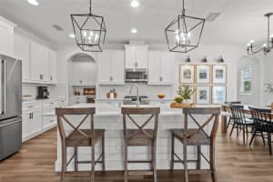 4777 BALLANTRAE BOULEVARD, LAND O LAKES, FL 34638 Sold 06/16/25