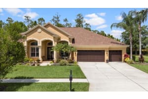 27447 WATER ASH DRIVE, WESLEY CHAPEL, FL 33544 Sold 06/09/25