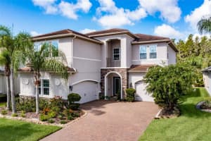 30900 Spruceberry Ct, WESLEY CHAPEL