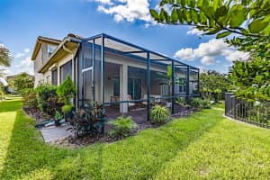 30900 SPRUCEBERRY COURT, WESLEY CHAPEL, FL 33543 - MLS#MFRTB8366495