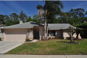 3189 Roxmere Dr, PALM HARBOR
