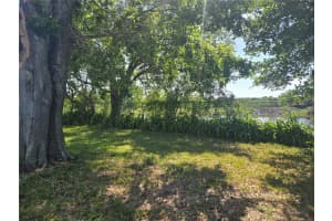 704 LEMONWOOD DRIVE, OLDSMAR, FL 34677 - MLS#MFRTB8366525