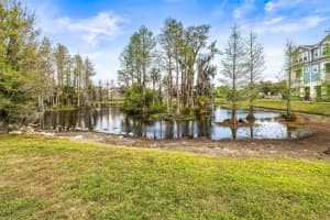 9533 CAVENDISH DRIVE, TAMPA, FL 33626 Sold 05/27/25