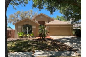 4731 Portobello Cir, VALRICO