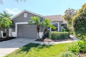7441 Trovita Rd, LAND O LAKES
