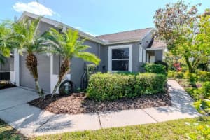7441 TROVITA ROAD, LAND O LAKES, FL 34637 - MLS#MFRTB8366657