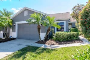7441 TROVITA ROAD, LAND O LAKES, FL 34637 - MLS#MFRTB8366657