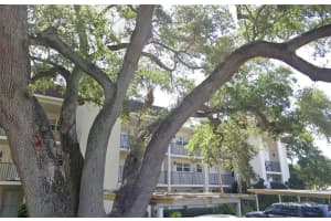 870 VIRGINIA STREET, DUNEDIN, FL 34698 Sold 04/16/25