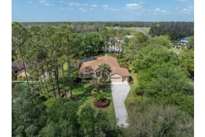 428 PINE BLUFF DRIVE, LUTZ, FL 33549 Sold 05/30/25