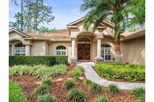 428 PINE BLUFF DRIVE, LUTZ, FL 33549 Sold 05/30/25