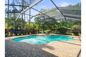 428 PINE BLUFF DRIVE, LUTZ, FL 33549 Sold 05/30/25