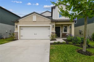 22229 Storybook Cabin Way, LAND O LAKES