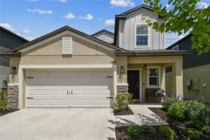 22229 STORYBOOK CABIN WAY, LAND O LAKES, FL 34637 - MLS#MFRTB8366836