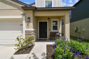 22229 STORYBOOK CABIN WAY, LAND O LAKES, FL 34637 - MLS#MFRTB8366836